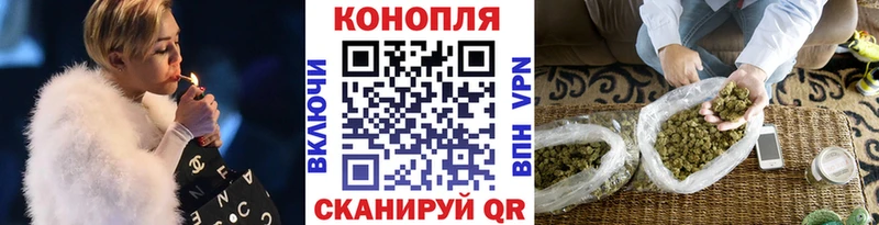 Купить  Николаевск-на-Амуре  Бошки Шишки THC 21% 